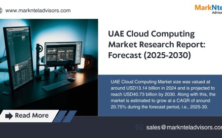 UAE Cloud Computing Market Scope, Volume and Executive Summary 2030
