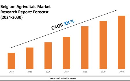 Italy Agrivoltaic Market Executive Summary, Trends and Forecast 2030