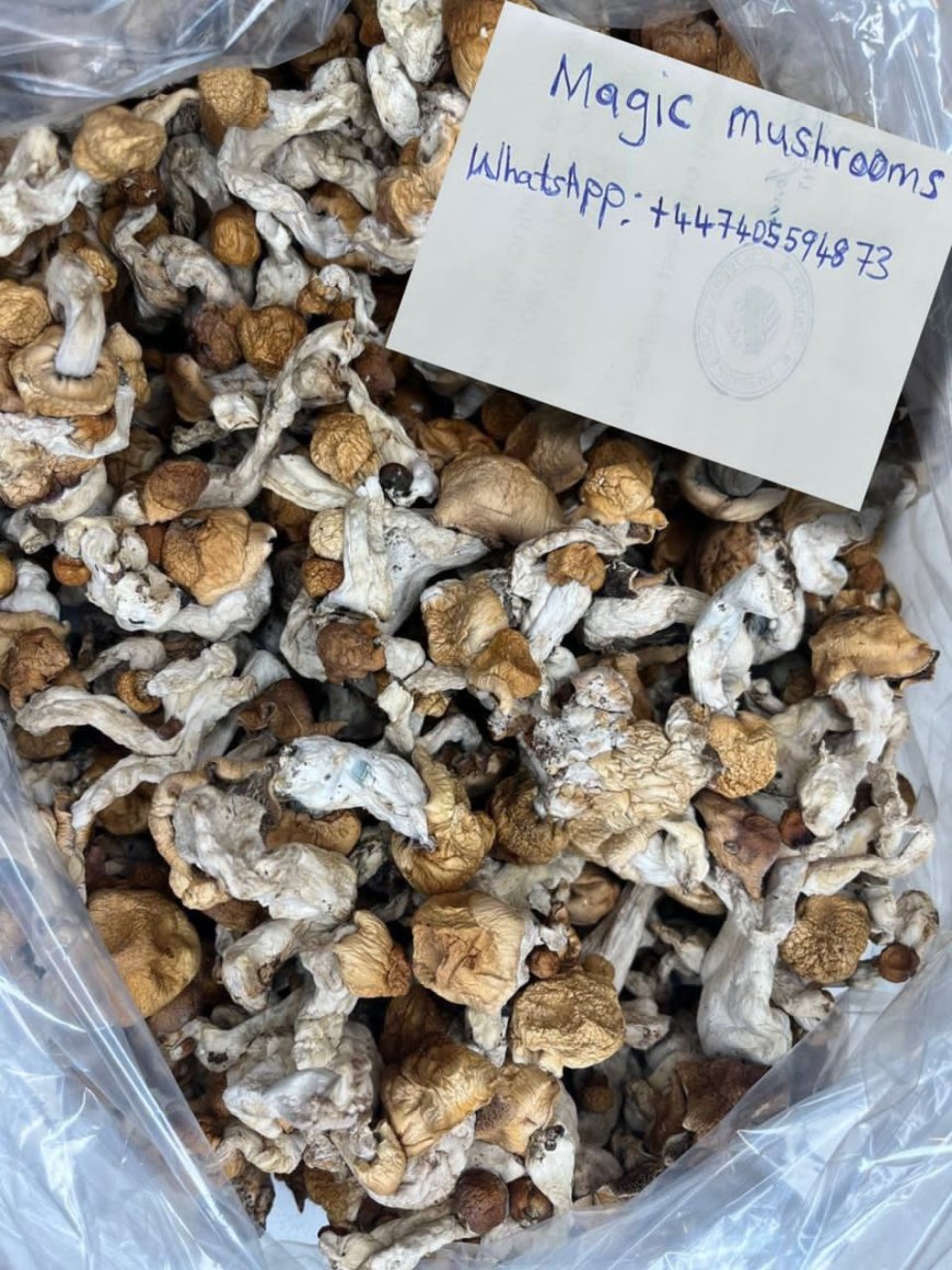 How to identify magic mushrooms near me