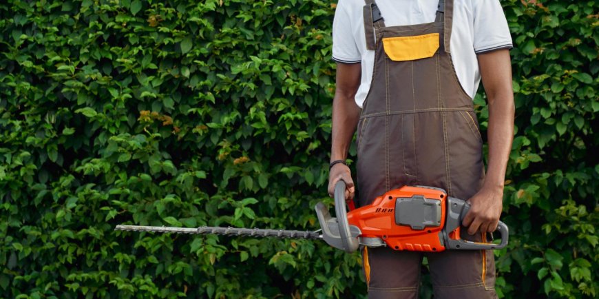 Tree Cutting vs Landscaping Services in Maryland What You Need to Know