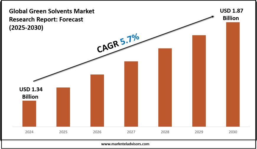 Green Solvents Market Report 2025–2030: Demand, Value & Share Outlook