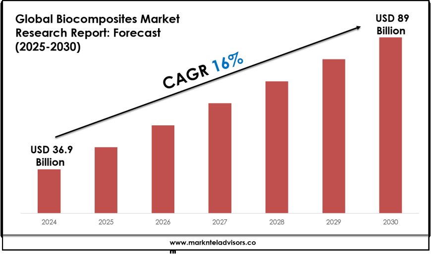 Biocomposites Market Research 2025–2030: Demand Drivers & Projections
