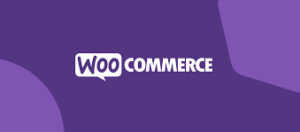Mollie WooCommerce Payment Processing